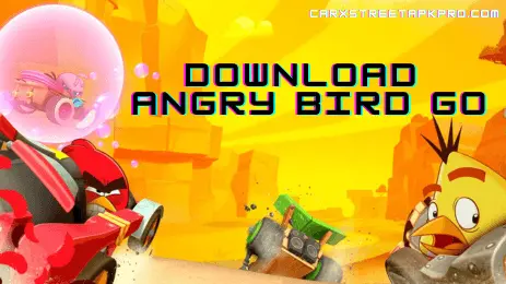 angry bird go